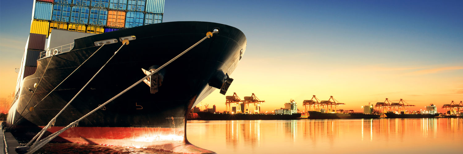 Freight Focus Management Ships