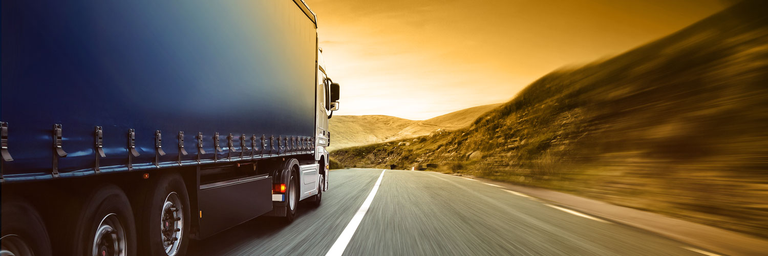 Freight Focus Management Trucks
